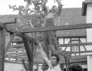aufbau-002
