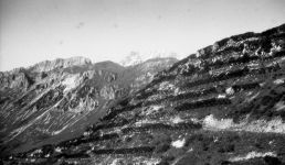 malchesene-006