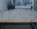glaeser-002