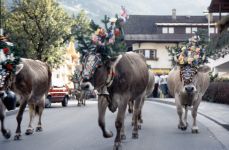 zillertal-005