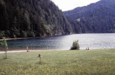 scheffau-011