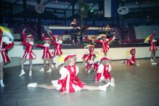 maennerchorball-011