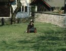 scheffau-011