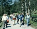 scheffau-032