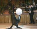09gala_033