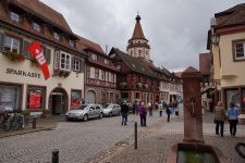 schwarzwald-022
