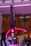 faschingsgala-044