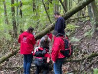 wanderung2024-3