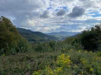 wanderung2024-8
