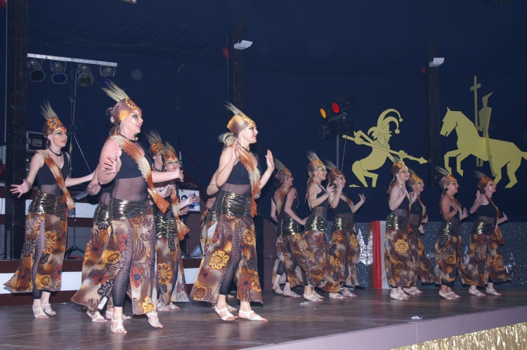 faschingsgala-032