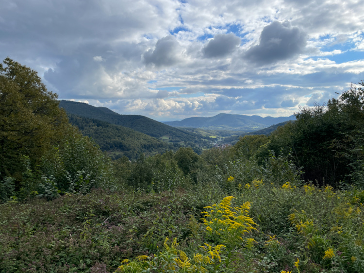wanderung2024-8