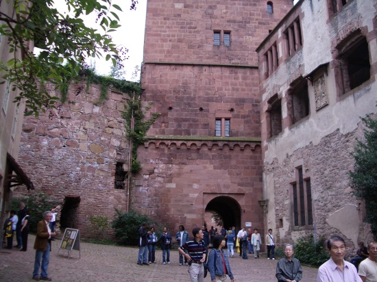 heidelberg015
