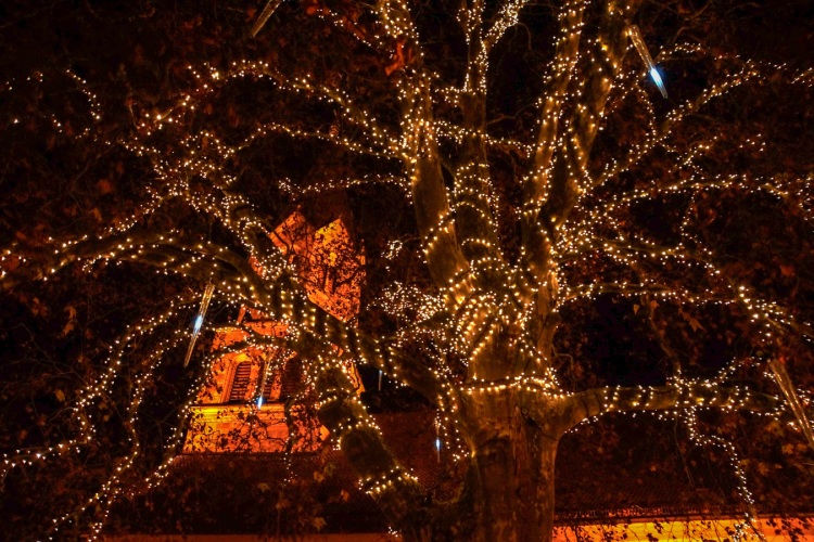 weihnachtsmarkt-001